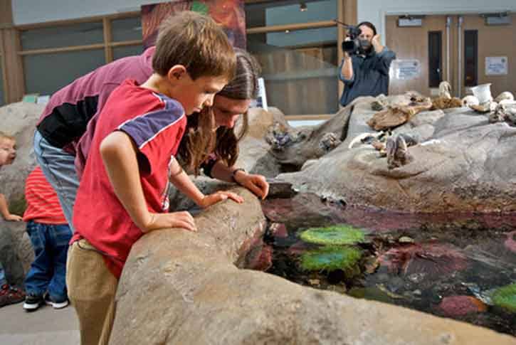 Hatfield Marine Science Center, Newport, Oregon