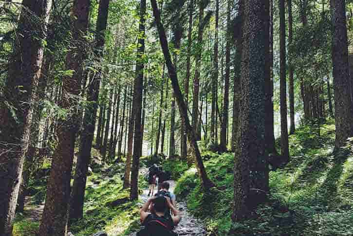 Hiking Topekas World Class Trails, Topeka, Kansas