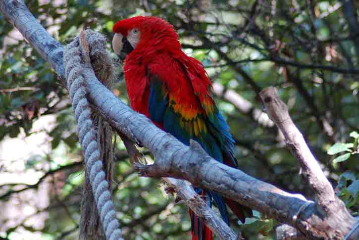 Lincoln Childrens Zoo