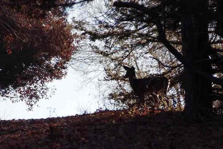 Mahoney Park, Lincoln, Nebraska