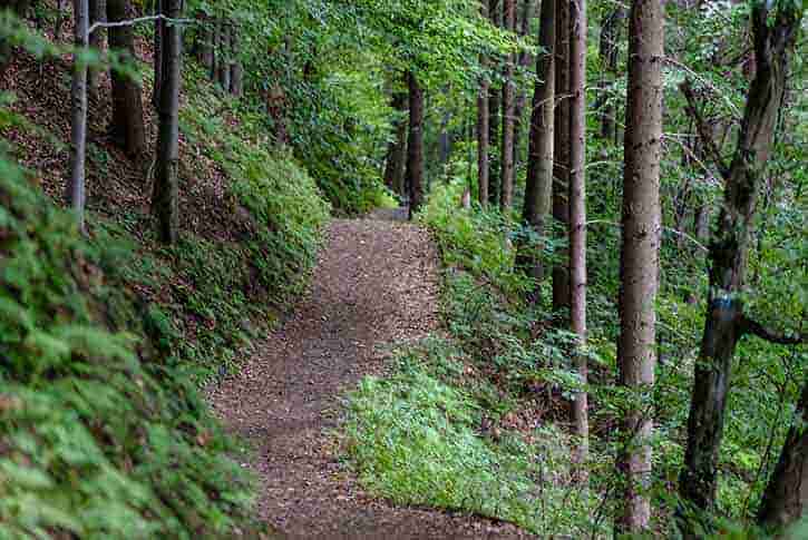 Old Baldy Trail, Deadwood, South Dakota
