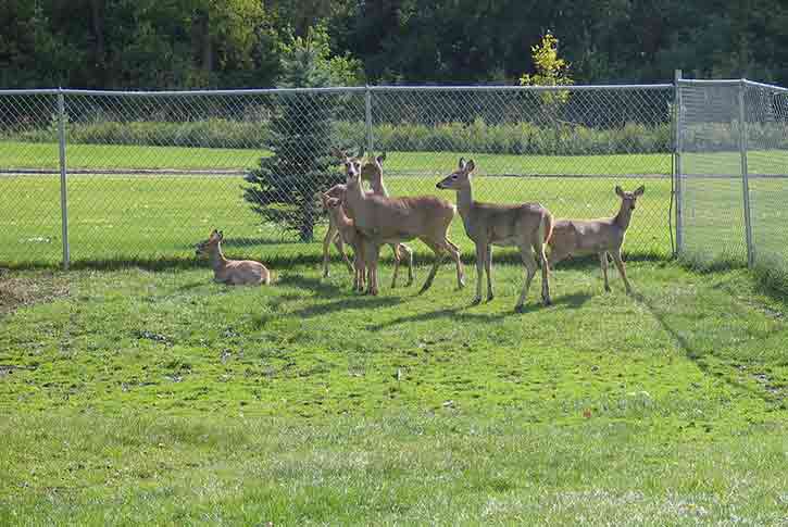 Roosevelt Park Zoo Office, Minot, North Dakota