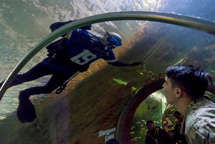 SEA LIFE at Mall of America, Minneapolis, Minnesota