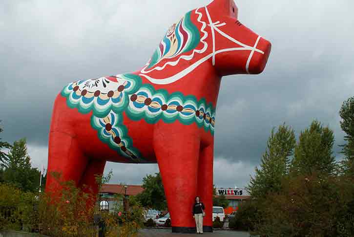 Scandinavian Heritage Association Minot