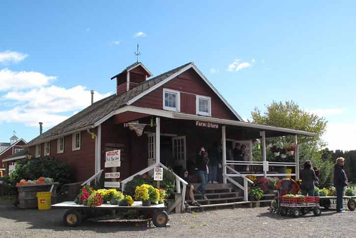 Terhune Orchards and Winery, Princeton, New Jersey