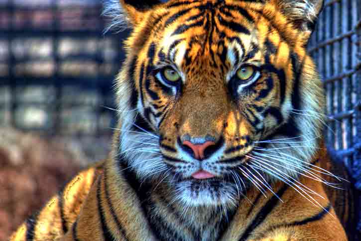 Topeka Zoo and Conservation Center