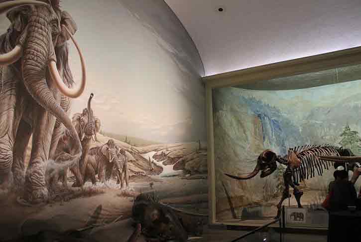 University of Nebraska State Museum - Morrill Hall