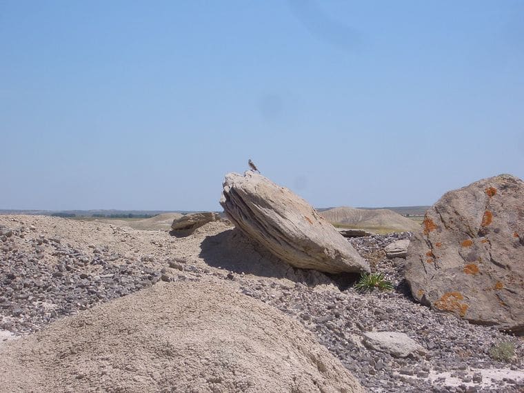 Toadstool Geologic Park