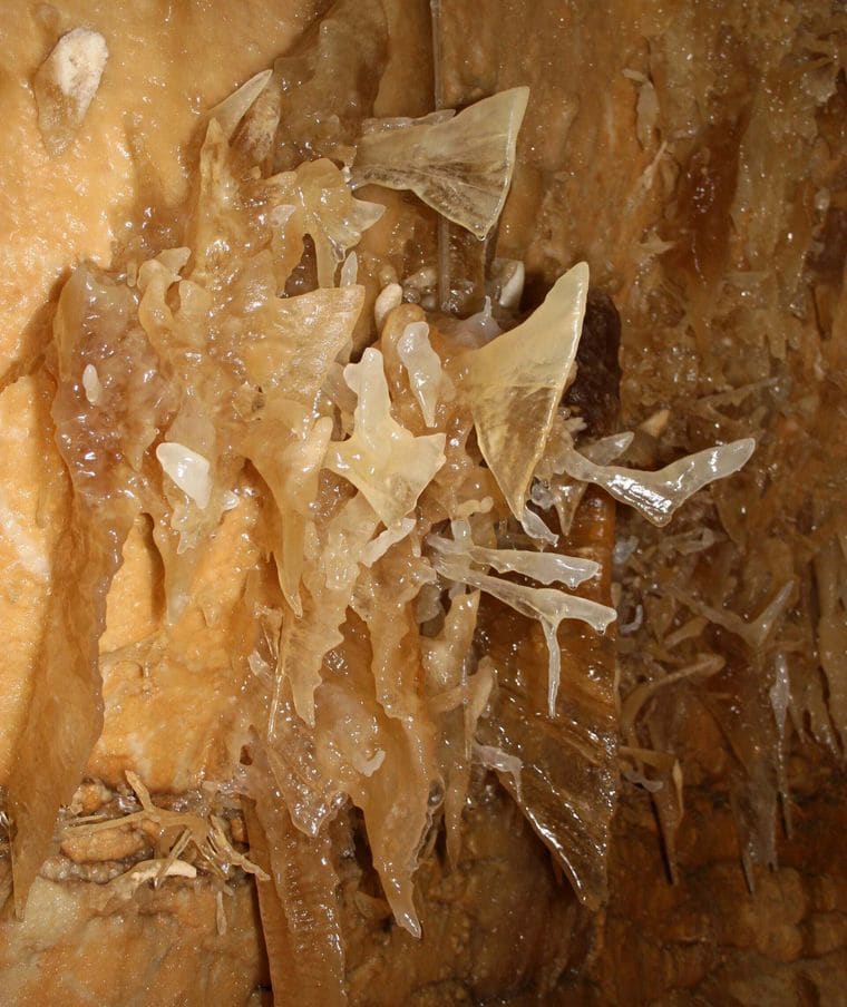 Caverns of Sonora