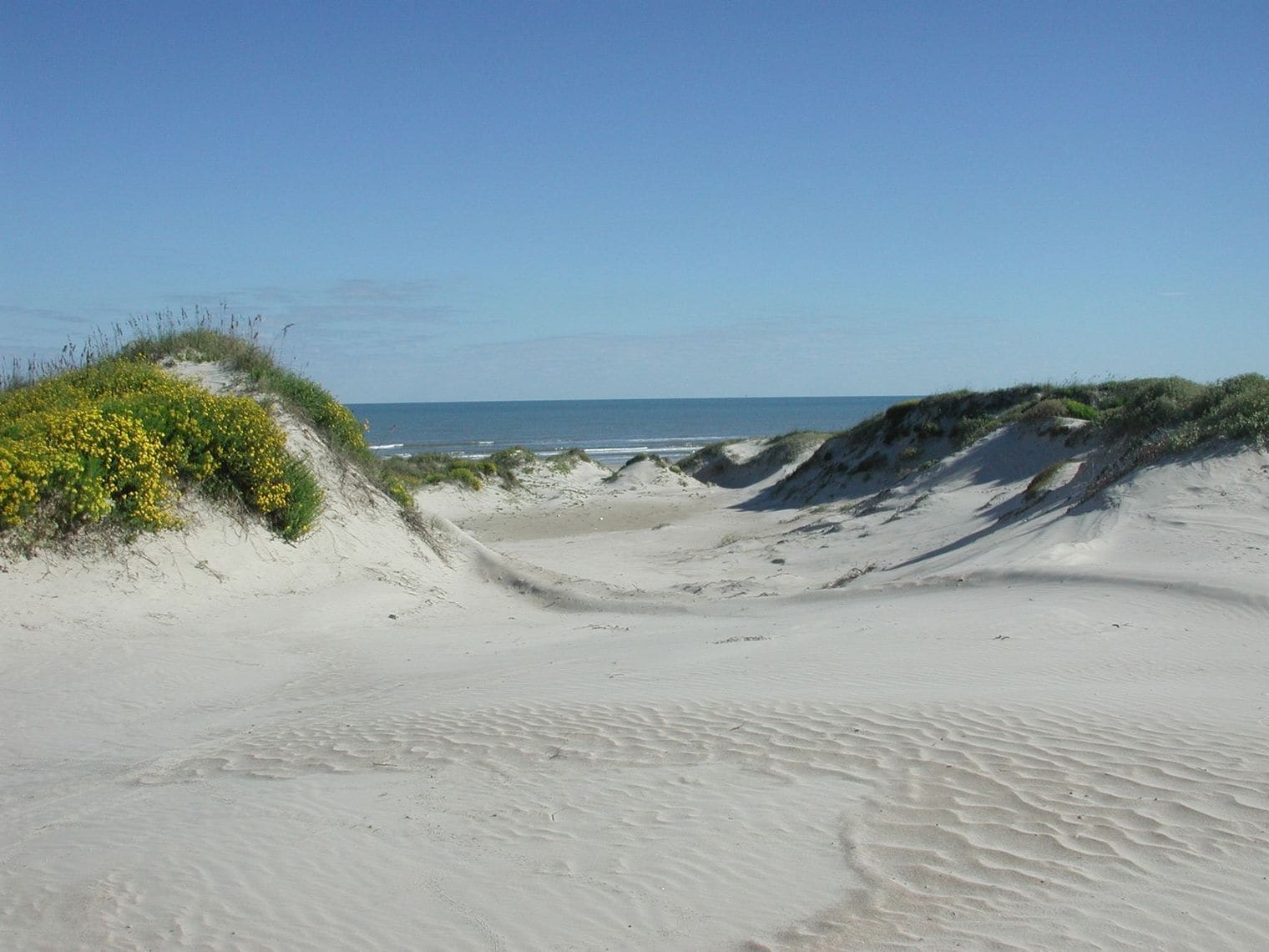 Padre Island National Seashore, Texas, Texas