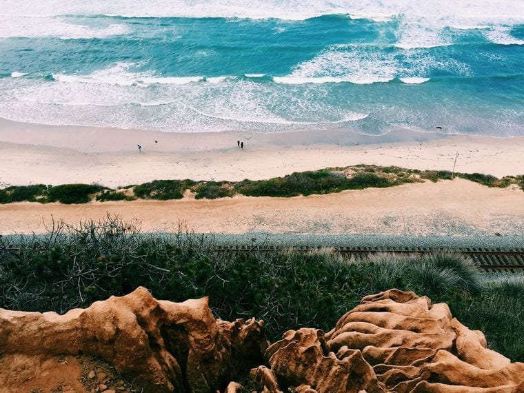 Torrey Pines State Beach