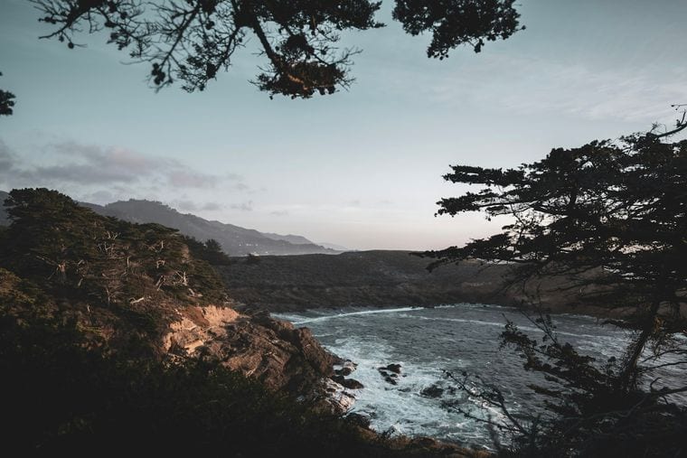 Point Lobos State Natural Reserve