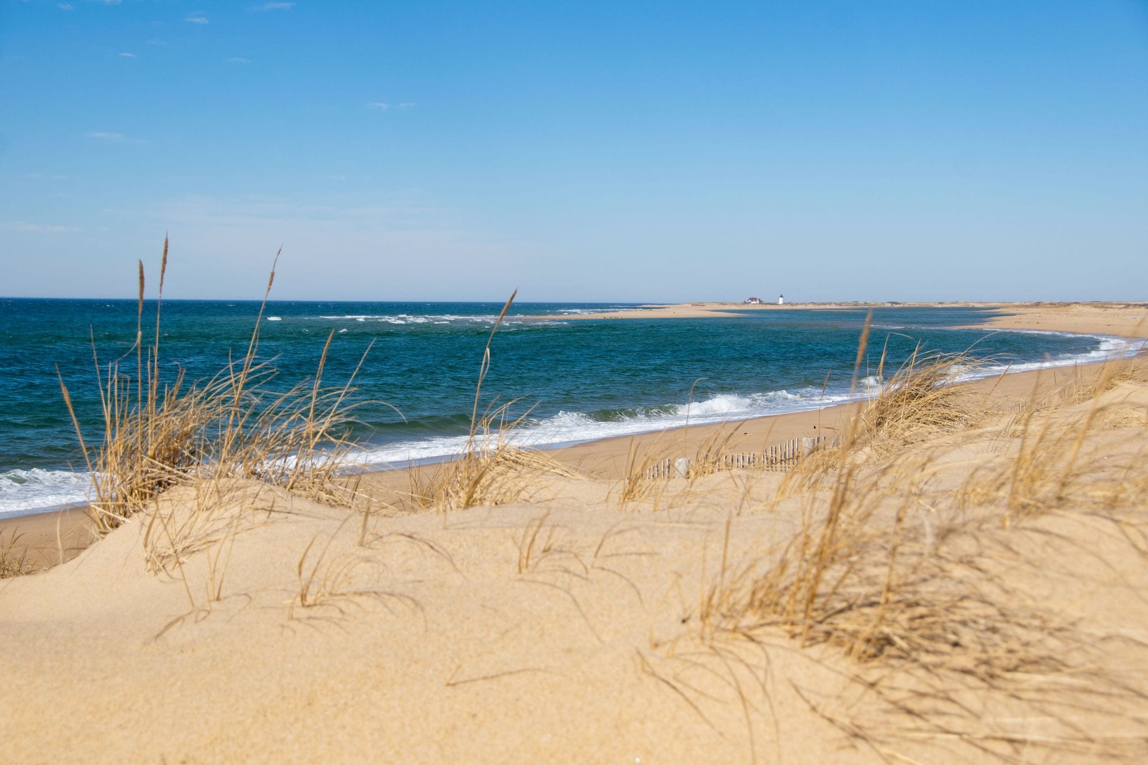 Dune grass and an empty sand beach beside the Atlantic at Provincetown on Cape Cod, Massachusetts