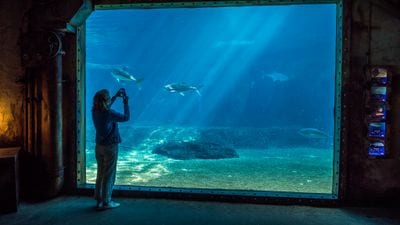 uShaka Sea World