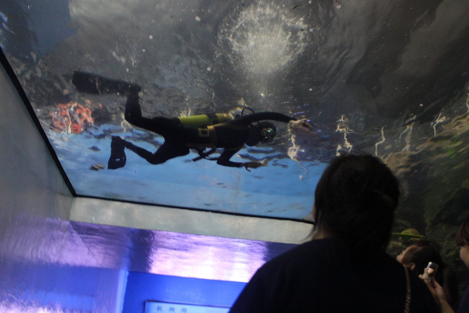 National Museum of Marine Biology and Aquarium, World