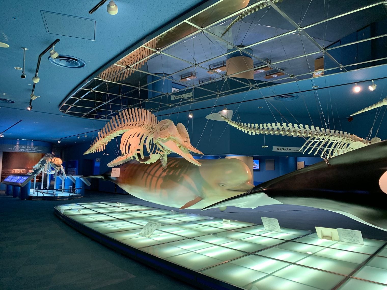 Port of Nagoya Public Aquarium, World