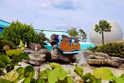 The Seas with Nemo & Friends