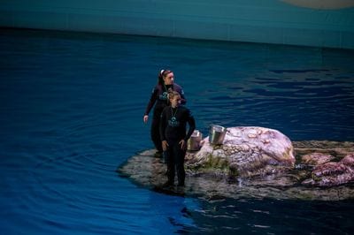 Shedd Aquarium