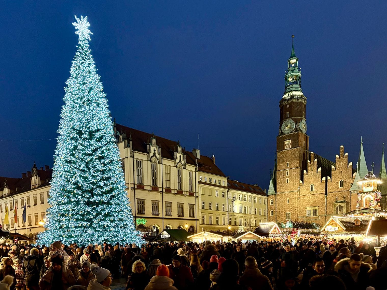 Wrocław Christmas Market, World