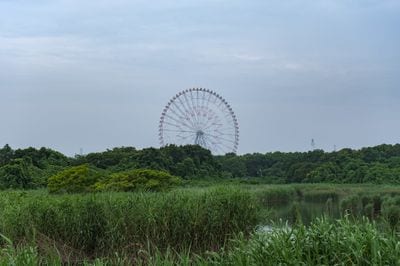 Diamond and Flower Ferris Wheel