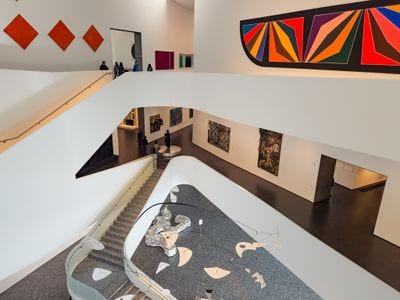 Museum of Fine Arts, Houston