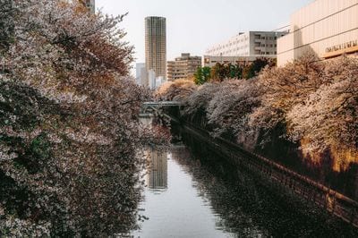 Meguro Station