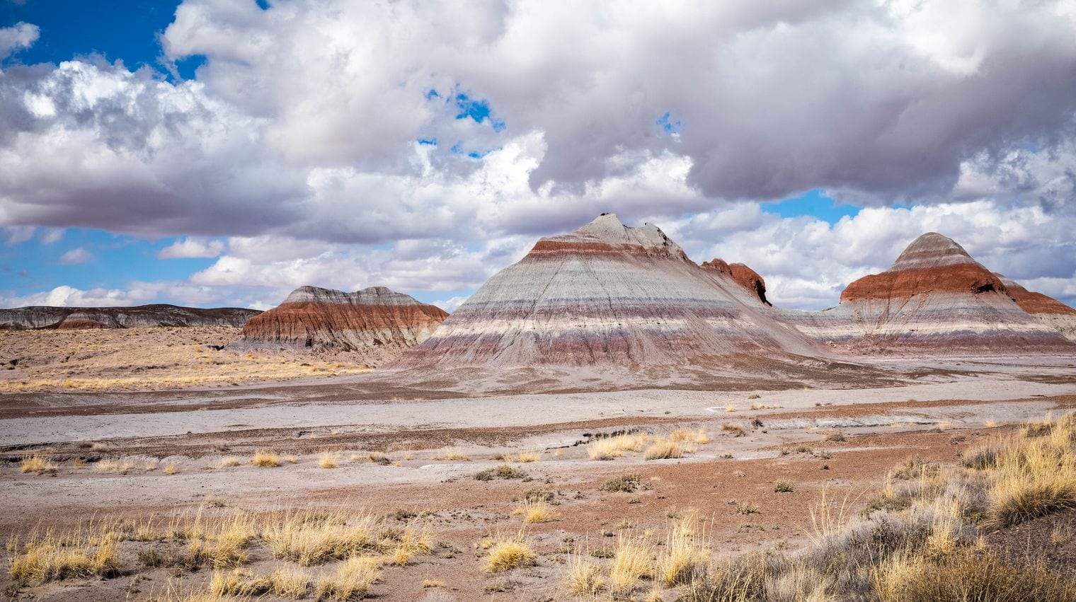 Petrified Forest National Park, Arizona