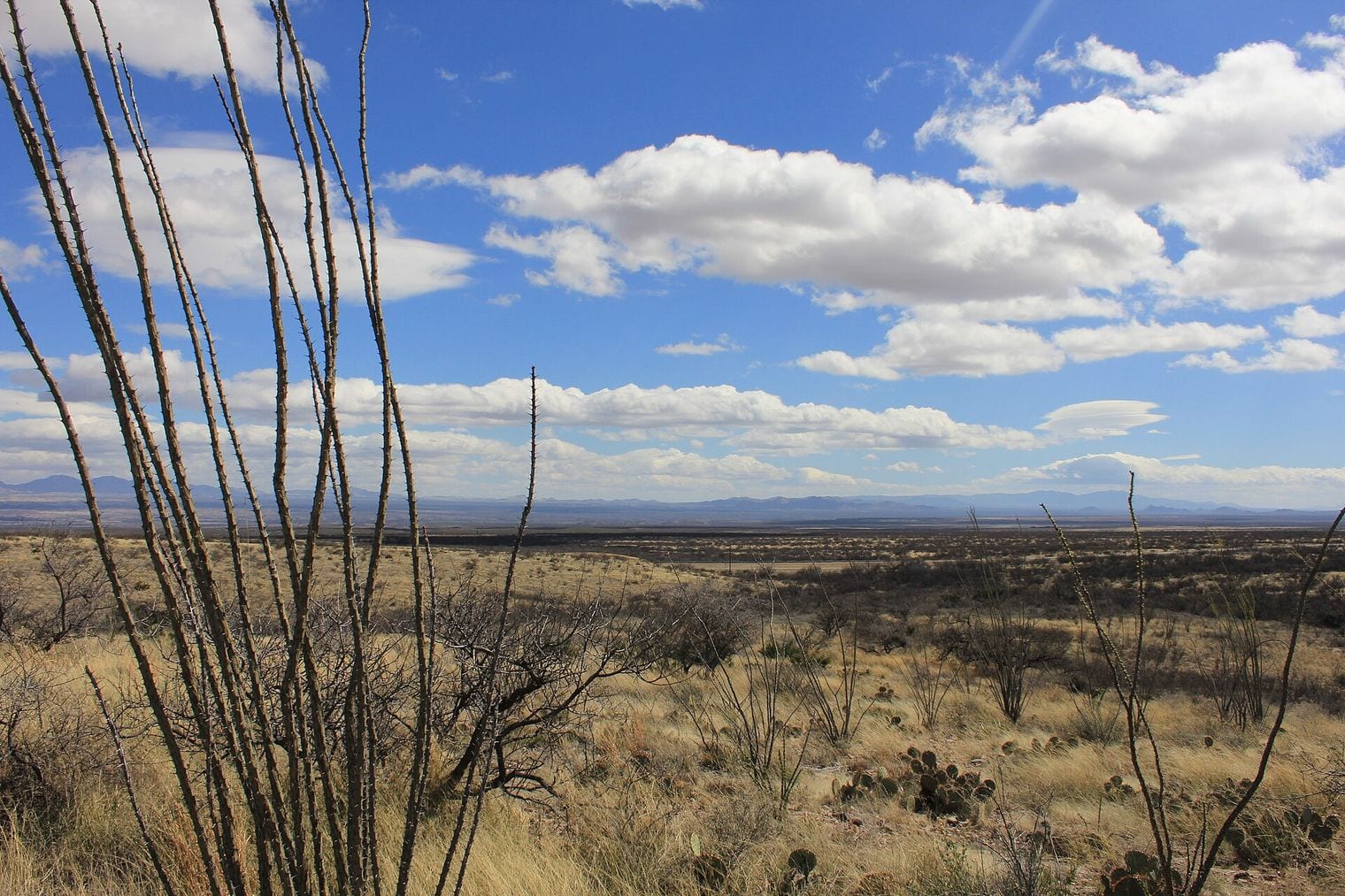 Kartchner Caverns State Park, Arizona