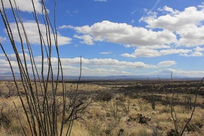 Kartchner Caverns State Park