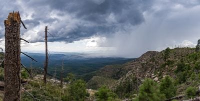 Payson