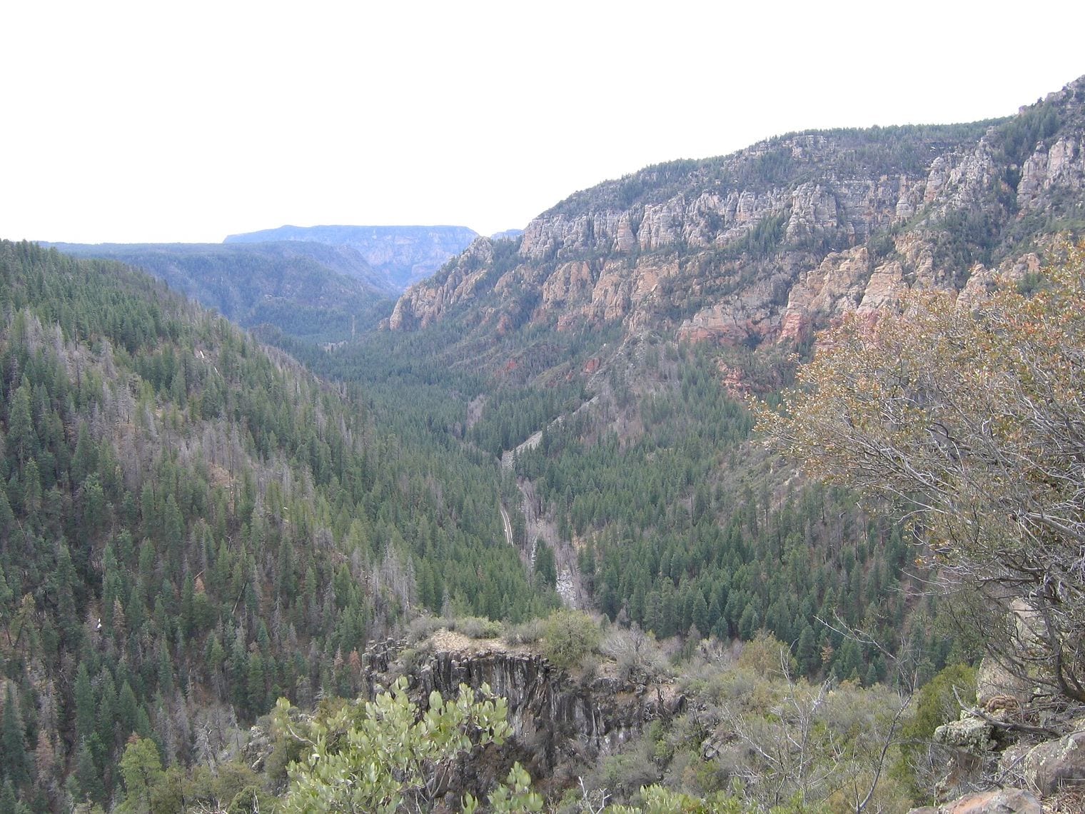 Oak Creek Canyon, Arizona