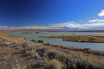 Viedma Lake