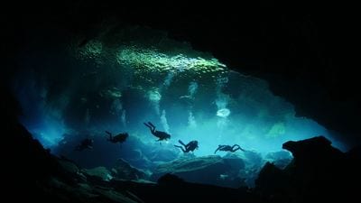 DiveHub46