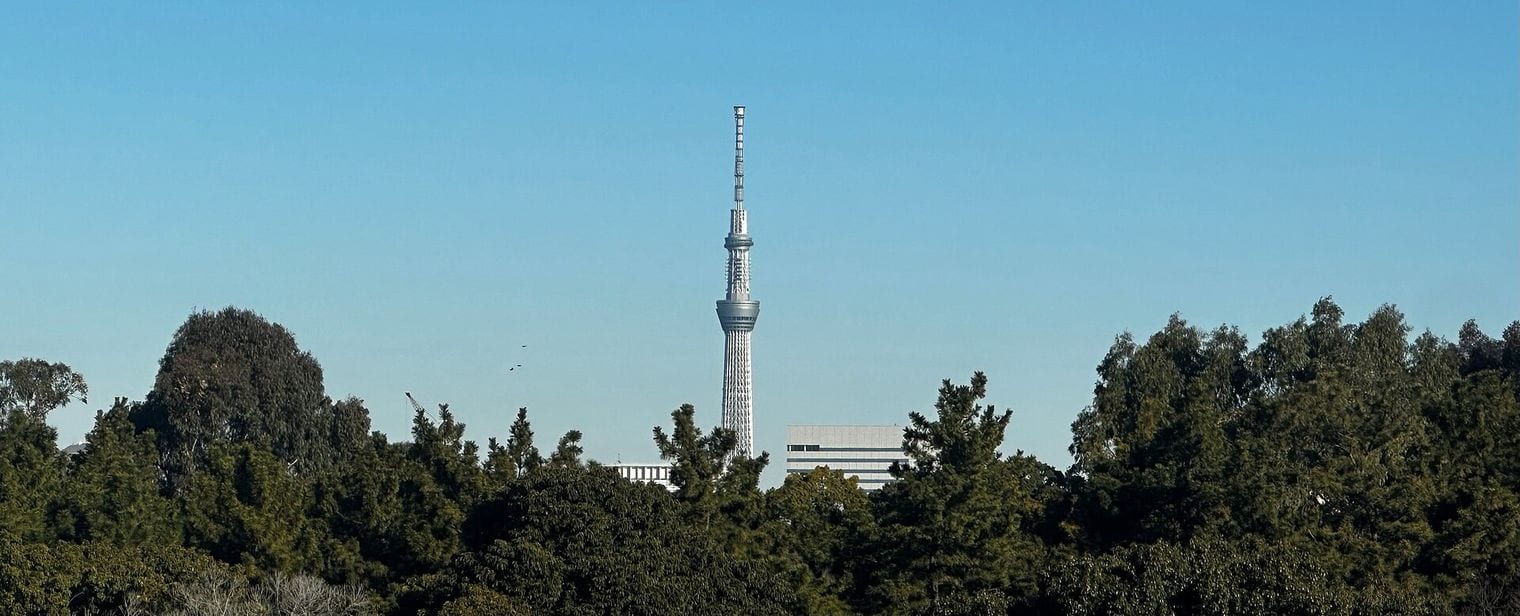 Tokyo Skytree, World
