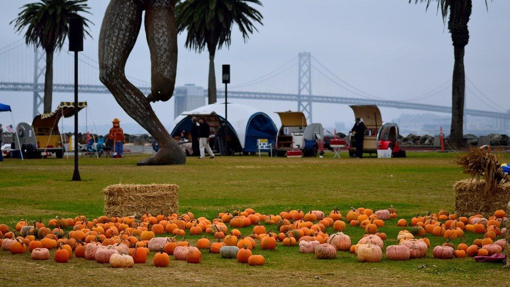 Treasure Island Flea Market