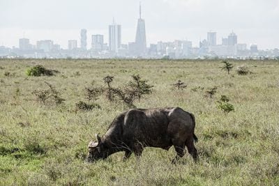 Nairobi