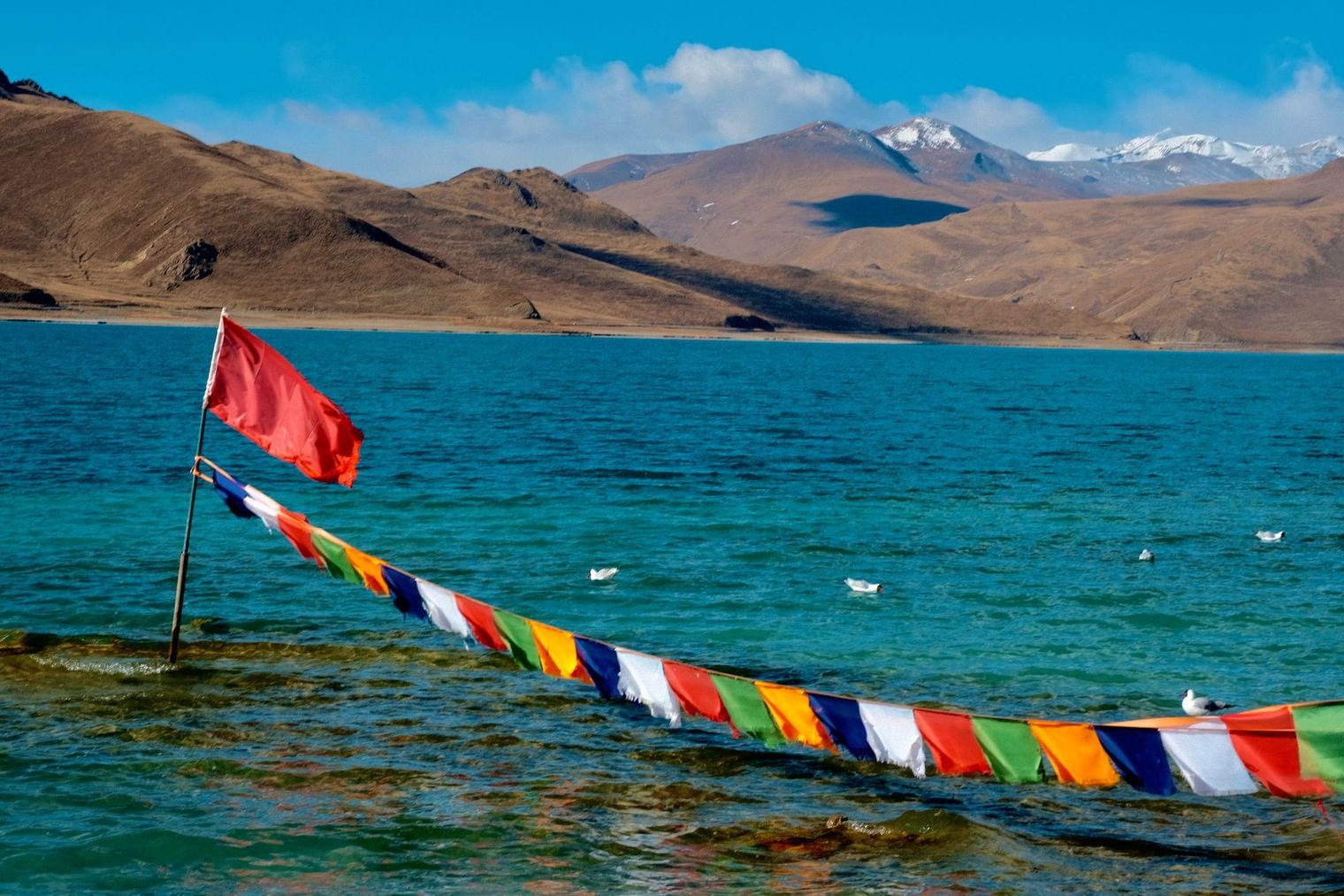 Lhamo La-tso, World