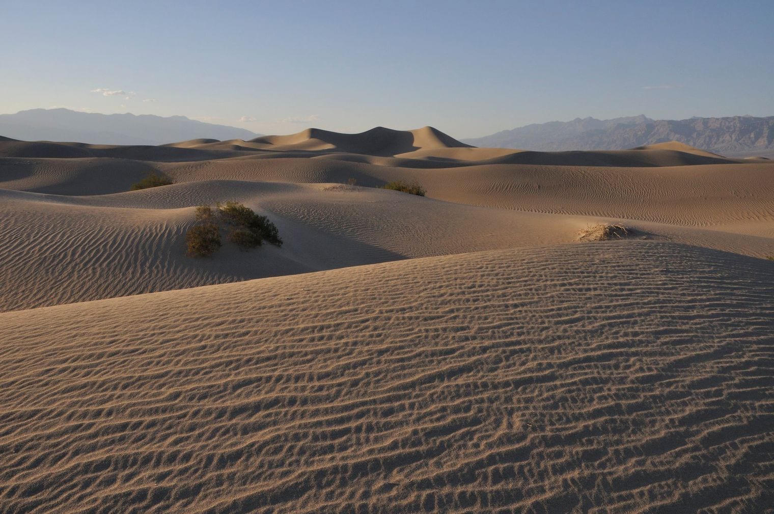 Rippled sand dunes stretching to bare desert mountains under a pale sky at Mesquite Flat in Death Valley, California