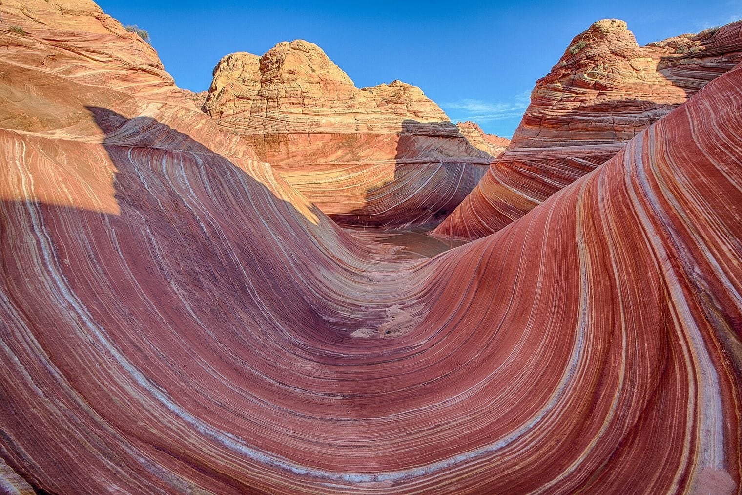 You Need a Lottery Permit to Walk on The Wave, Arizona