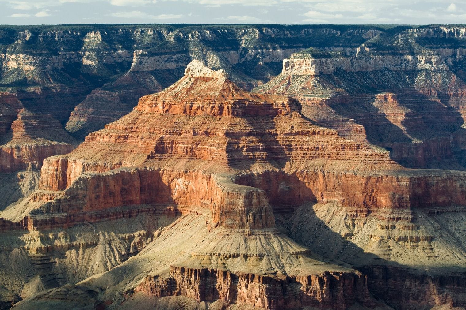 Forty Rock Layers Stack Up in the Canyon Walls, Arizona