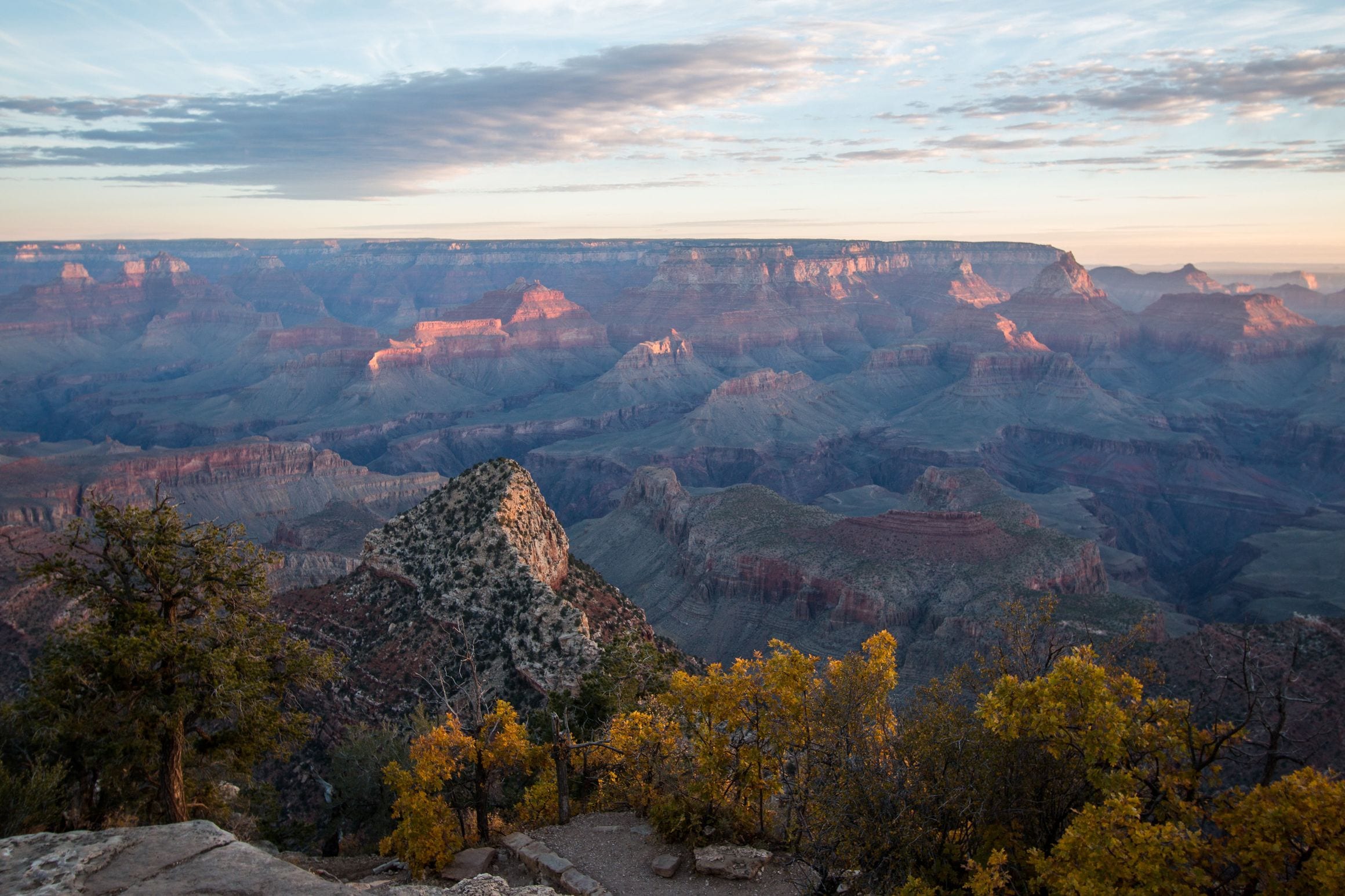 Dawn light catching the pink and grey buttes of the Grand Canyon, with gold autumn scrub and juniper along the rocky rim in the foreground