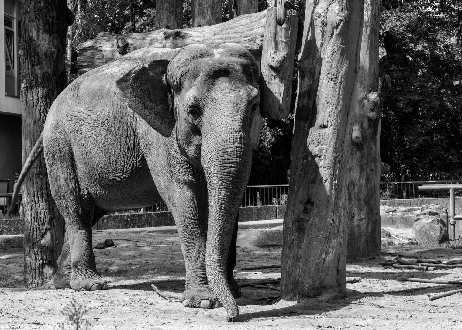 Berlin Zoo Opened on 1 August 1844, Germany