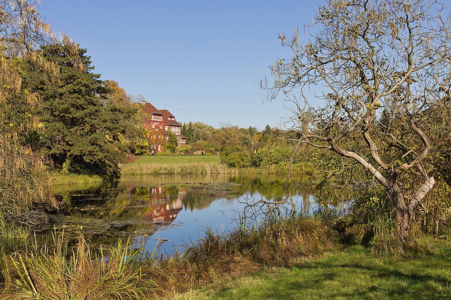 Berlin's Botanic Garden Grows Nearly 20,000 Plant Species, Germany