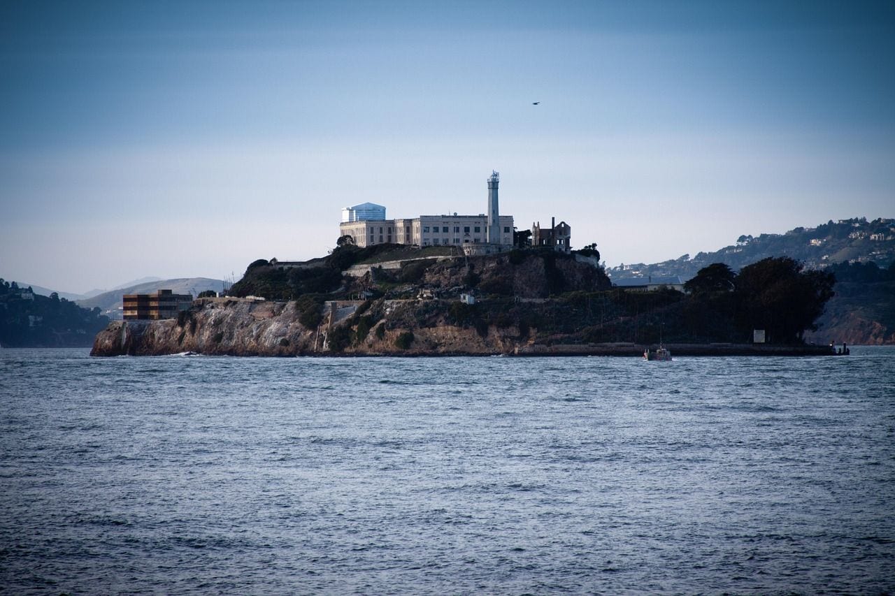 Alcatraz Is a Major Seabird Colony, California