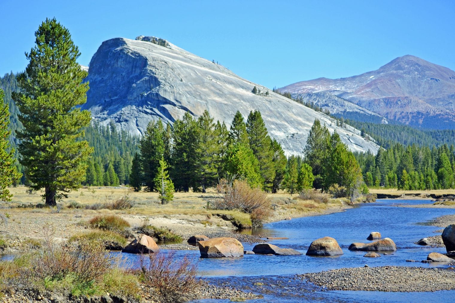 John Muir Co-Founded the Sierra Club, California