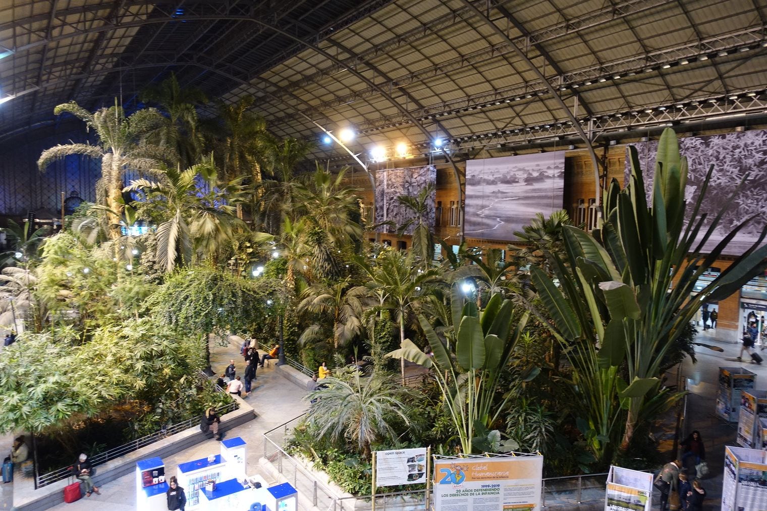 There Is a Tropical Garden Inside Atocha Station, Spain