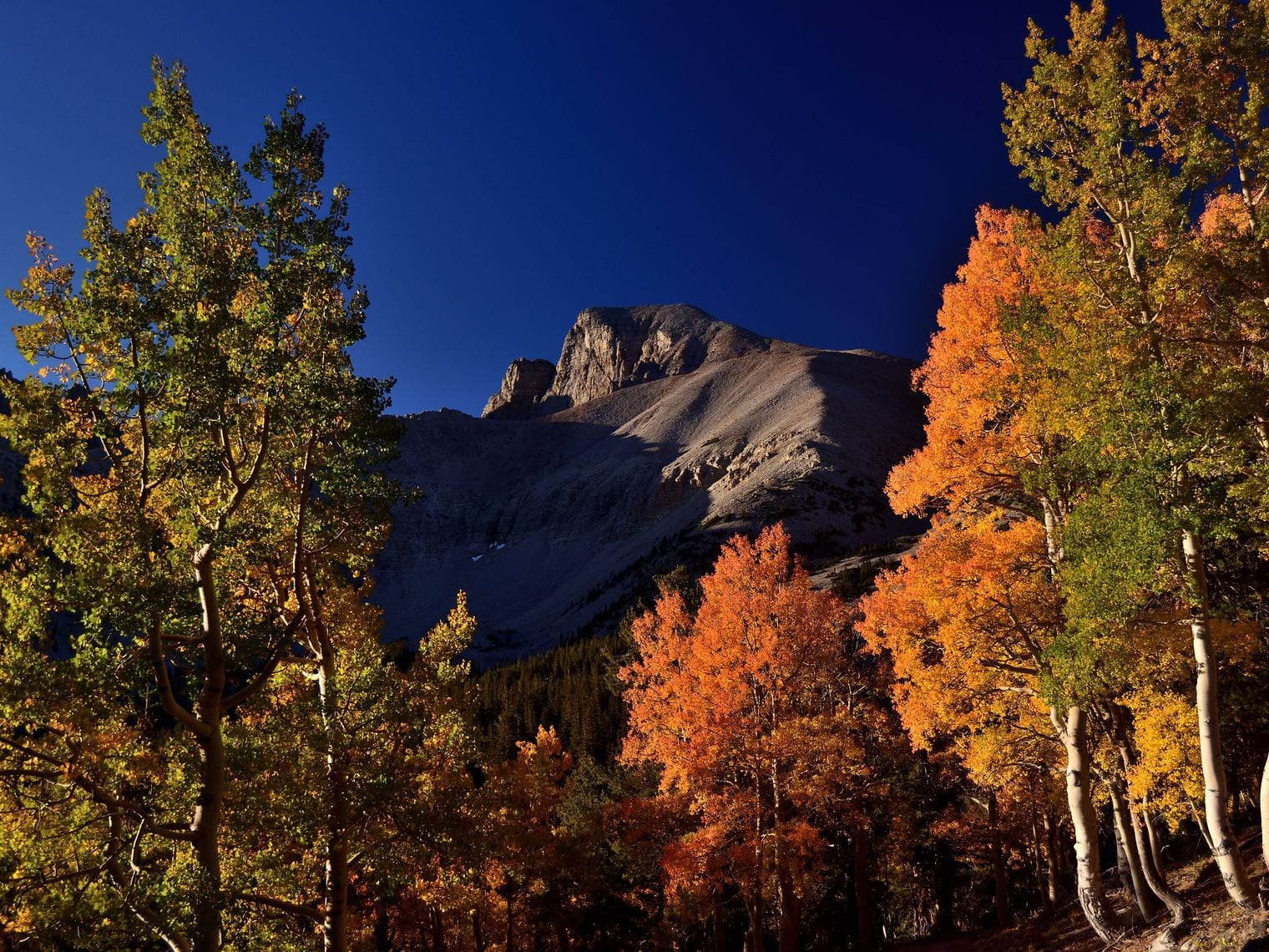 Wheeler Peak Is the Tallest Mountain All Nevada's, Nevada
