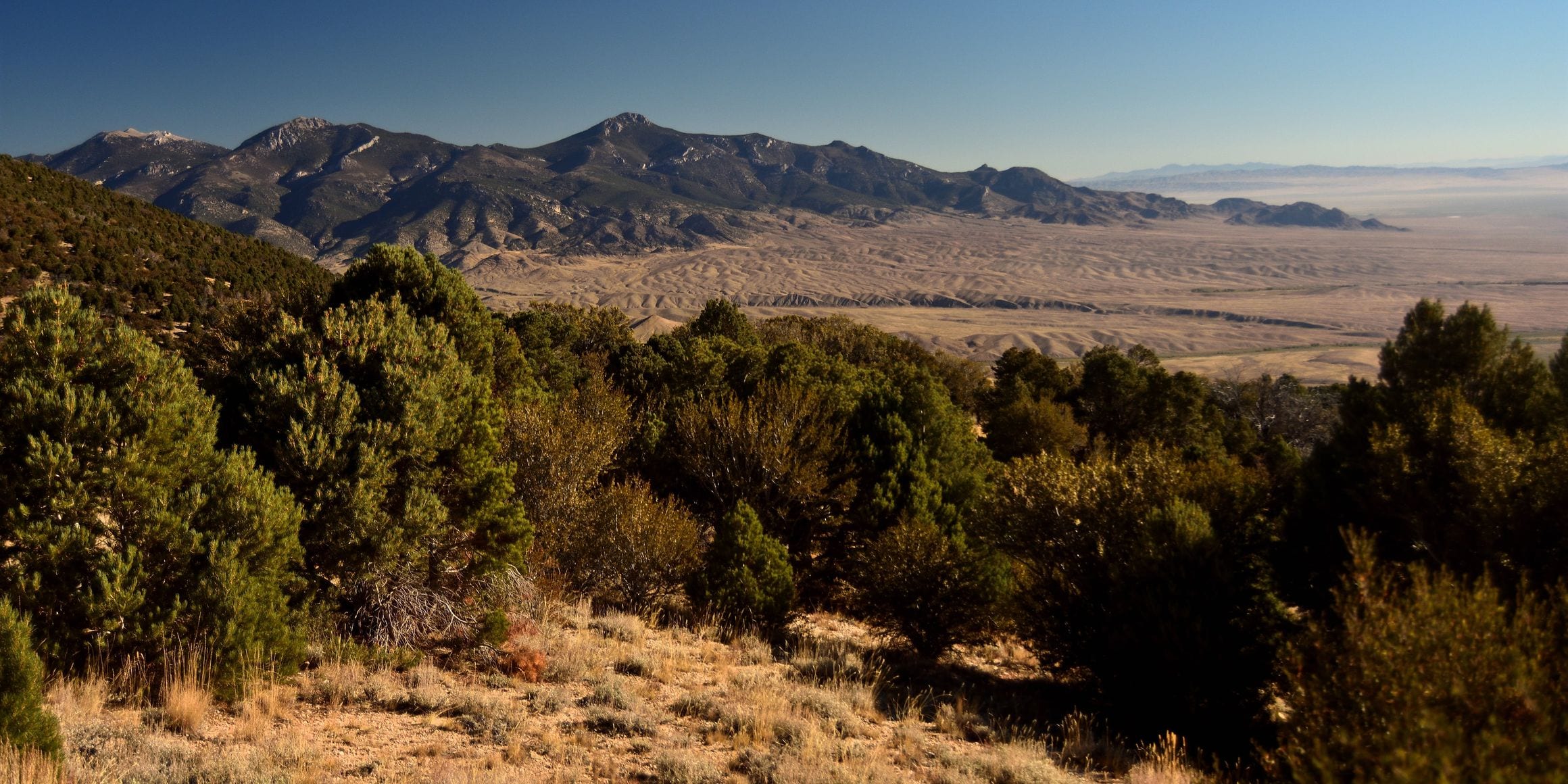 Basin and range country in Nevada, a juniper-covered ridge falling away to a broad dry valley with a far mountain range beyond