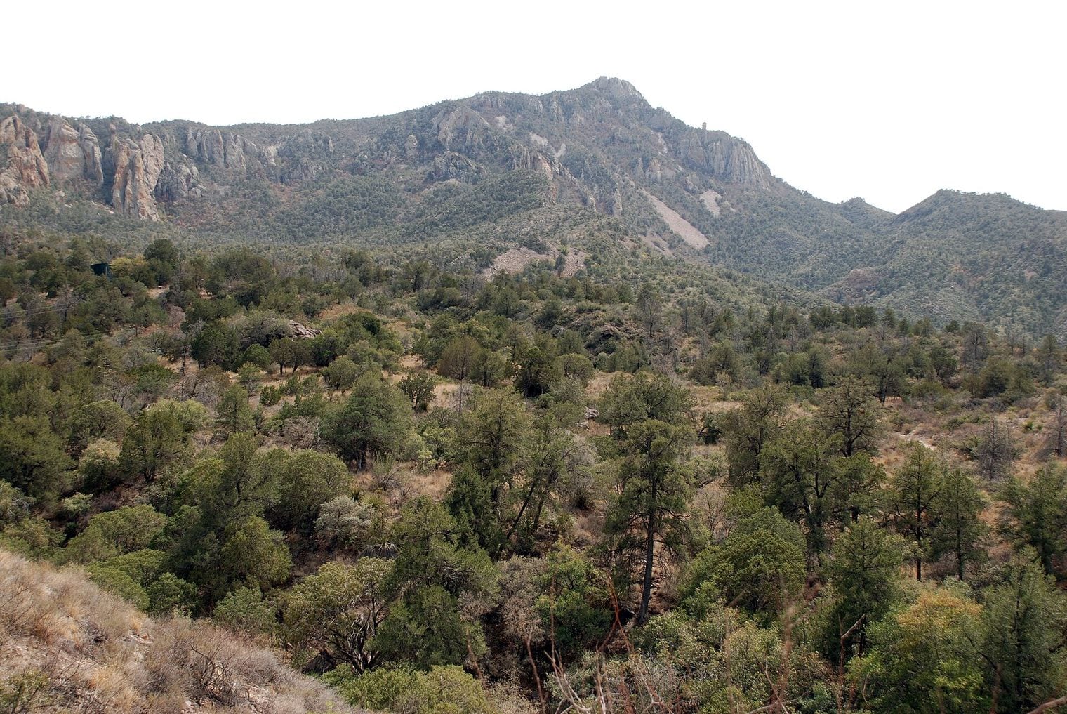 The Chisos Are the Southernmost Range in the US, Texas