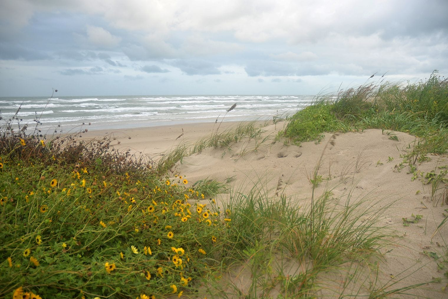 Padre Island Has the Longest Sand Beach in America, Texas